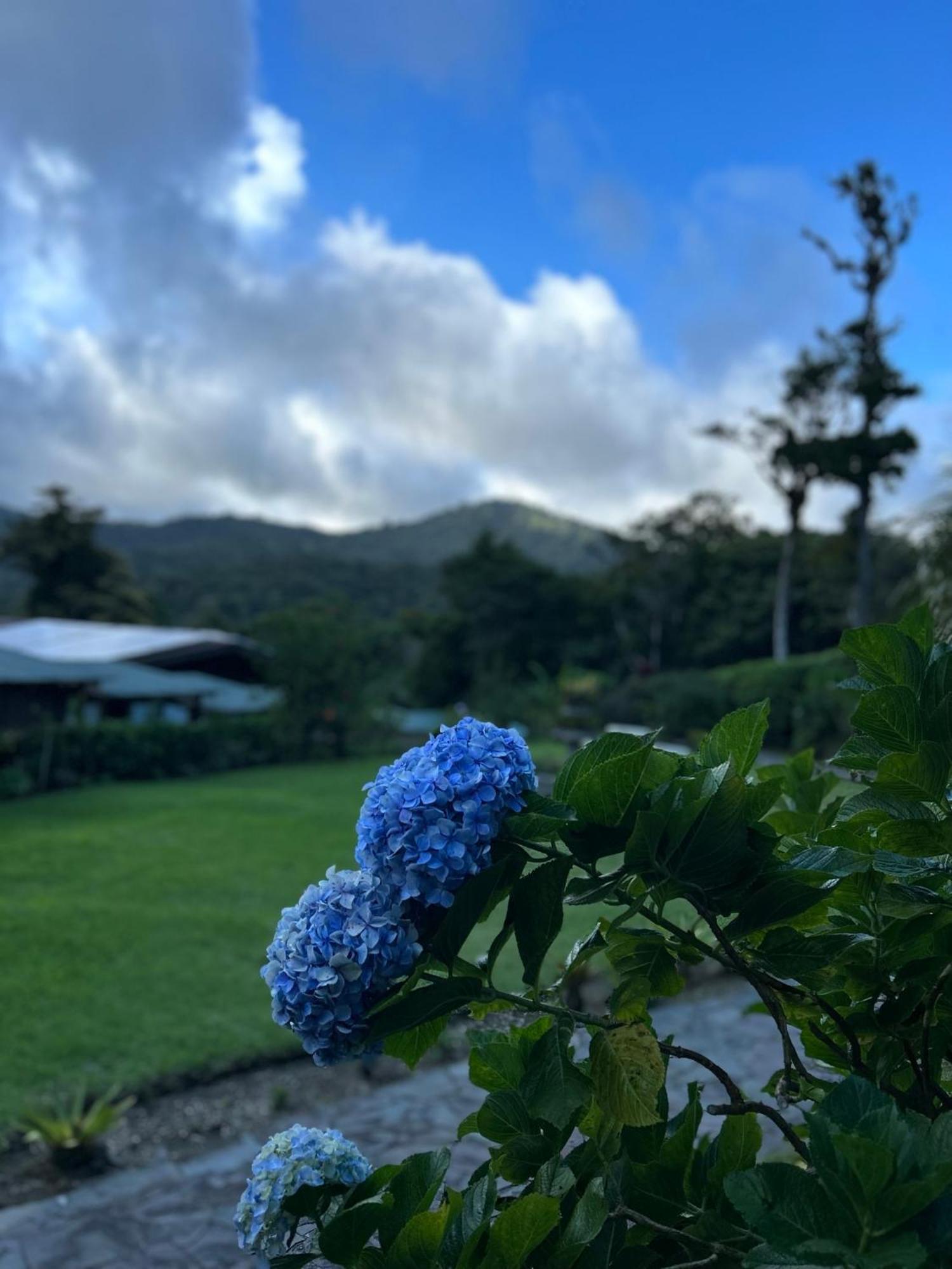 Trapp Family Lodge מונטה ורדה מראה חיצוני תמונה